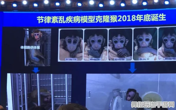 微信小程序-2025年4月最新版本-脑机接口互动游戏-高达99%玩家未能体验到剧情发展