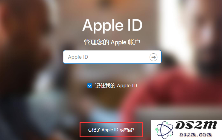 如何解决在 iPhone 12 中登录 Apple ID 时遇到的各种问题