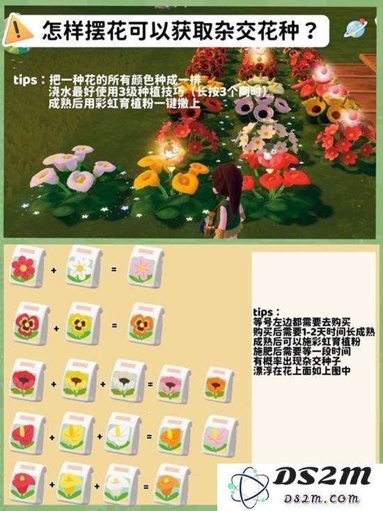 心动小镇种田进阶教学：快来成为小镇农学家：乐享田园，丰收无限的秘密