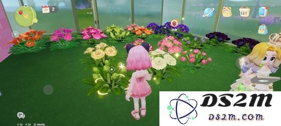 心动小镇怎么种花：心动小镇花卉种植教学：轻松种出梦幻花园，变身花卉养殖达人！