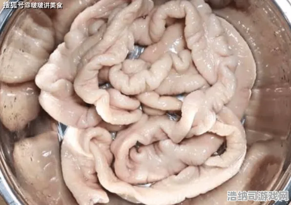 羊了个羊无广告版攻略2025年4月零氪快速通关秘籍！三分钟教你暴力通关技巧，远离广告烦恼！