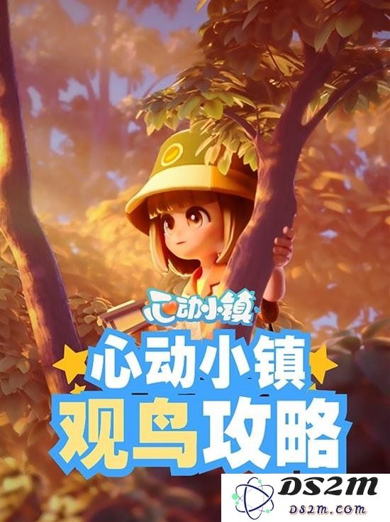 心动小镇怎么观鸟 心动小镇观鸟玩法介绍及教程：轻松识鸟 写下你的鸟类日志