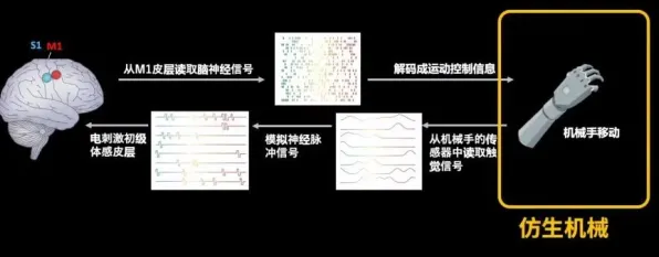 神经信号传递全新体验-五一假期必享-倒计时6天-淘宝互动-脑机接口最新2.0虚拟游戏