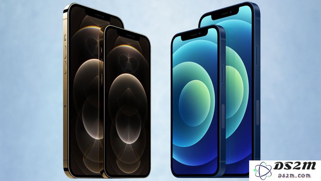 在选择 iPhone 12 系列时，你会倾向于购买哪一款？详细对比与推荐