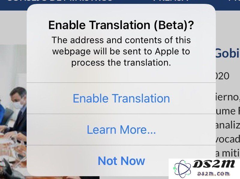 iOS 14 教程：如何在 iPhone 上的 Safari 浏览器中翻译网页？