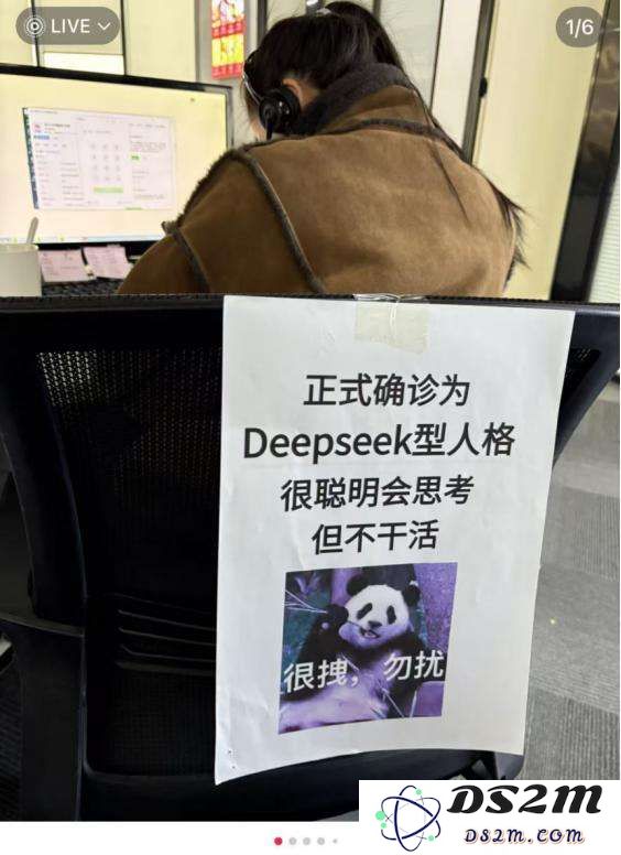 我已确诊为“DeepSeek人格”：勿扰