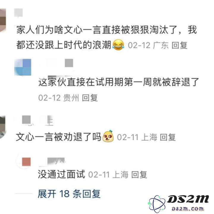 我已确诊为“DeepSeek人格”：勿扰