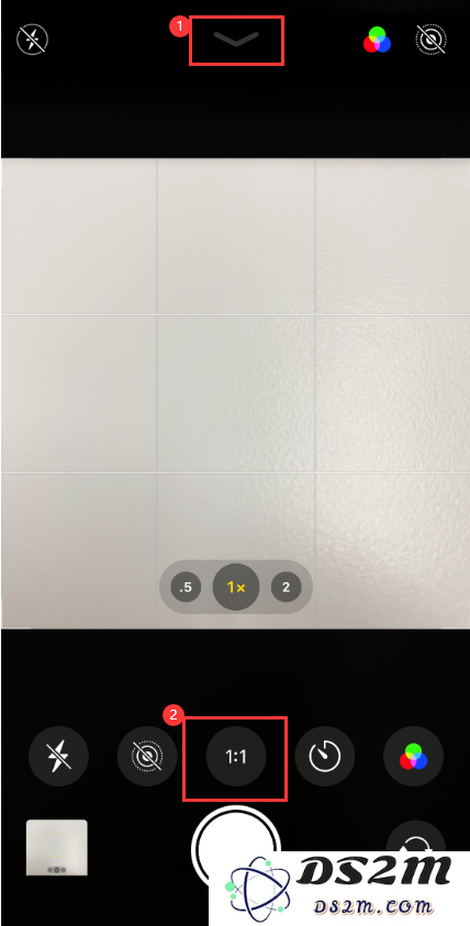 小技巧：在 iPhone 11 上拍摄照片制作头像