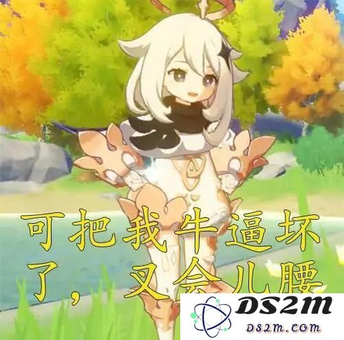 原神可以和别人一起玩吗
