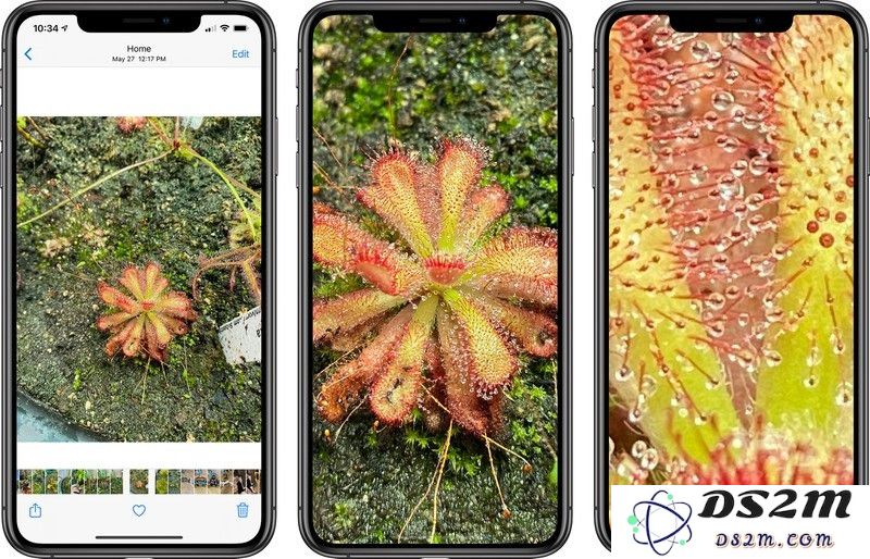 iOS 14 版本更新：新增功能支持更大比例放大照片的全新体验