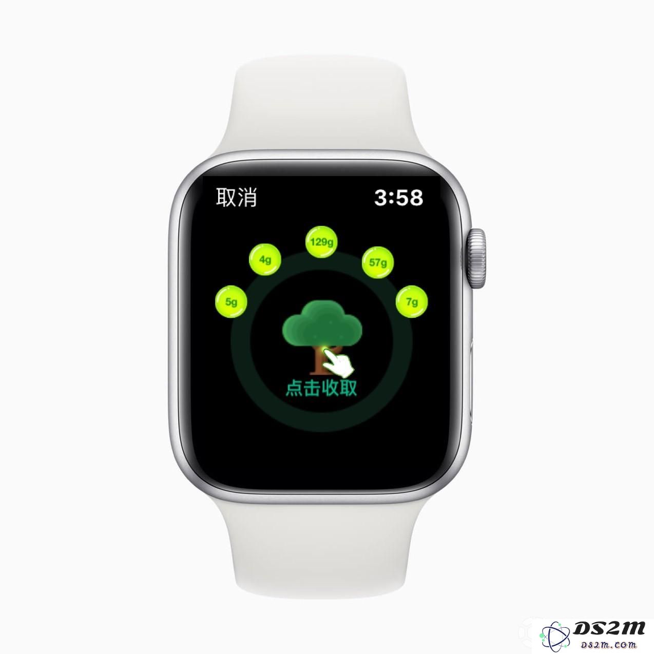 Apple Watch 支付宝新功能：“一键收取”蚂蚁森林能量 
