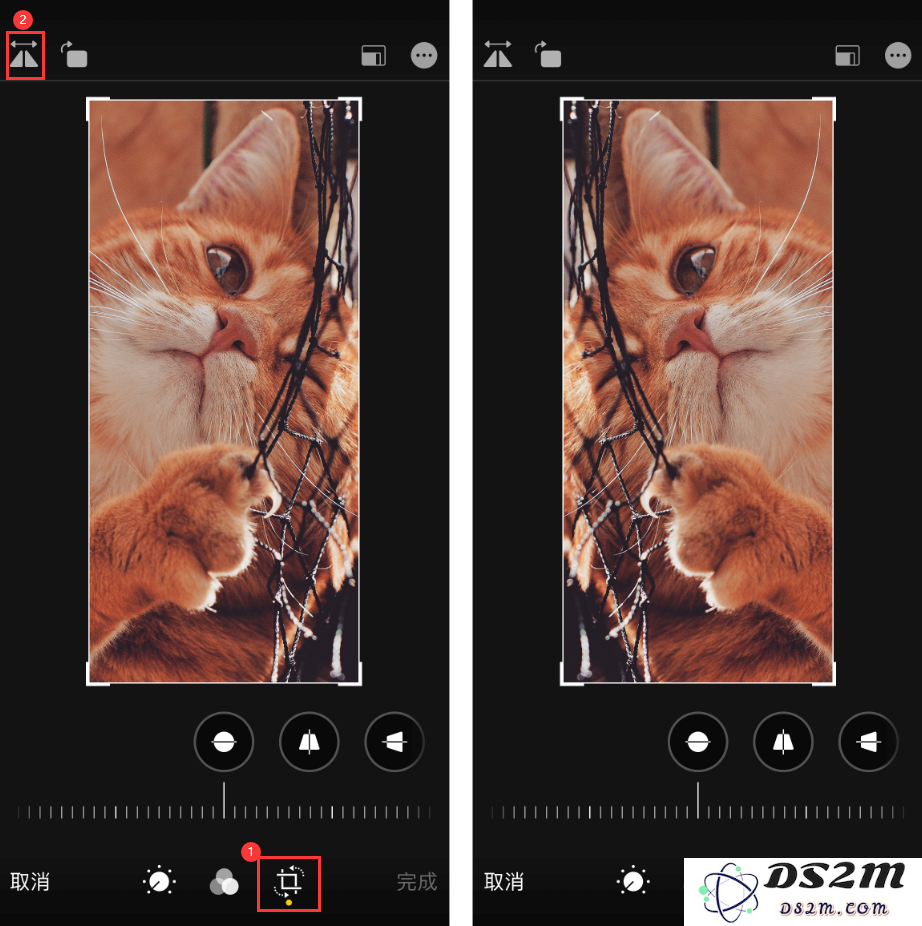 如何利用iPhone自带功能将自拍照片中的反向效果进行翻转处理？