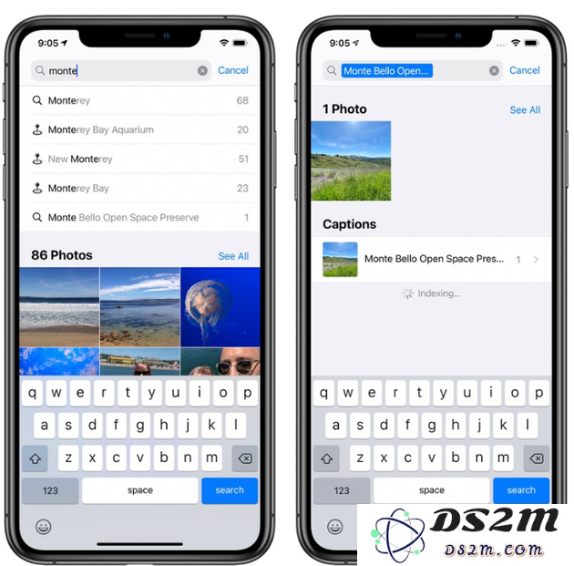 如何在升级到 iOS 14 后轻松为你的照片添加个性化标题和描述？