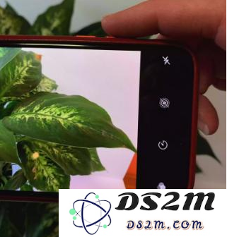 如何使用iPhone手机拍出好看的照片？