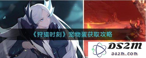 《狩猎时刻》的宠物蛋需要怎么获取呢？：探索游戏中最神秘的宝藏！ 快来揭秘吧！