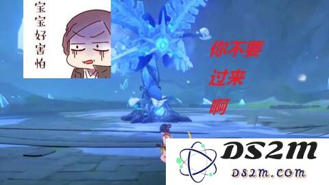 《原神》急冻树在何处分布及获取攻略详解