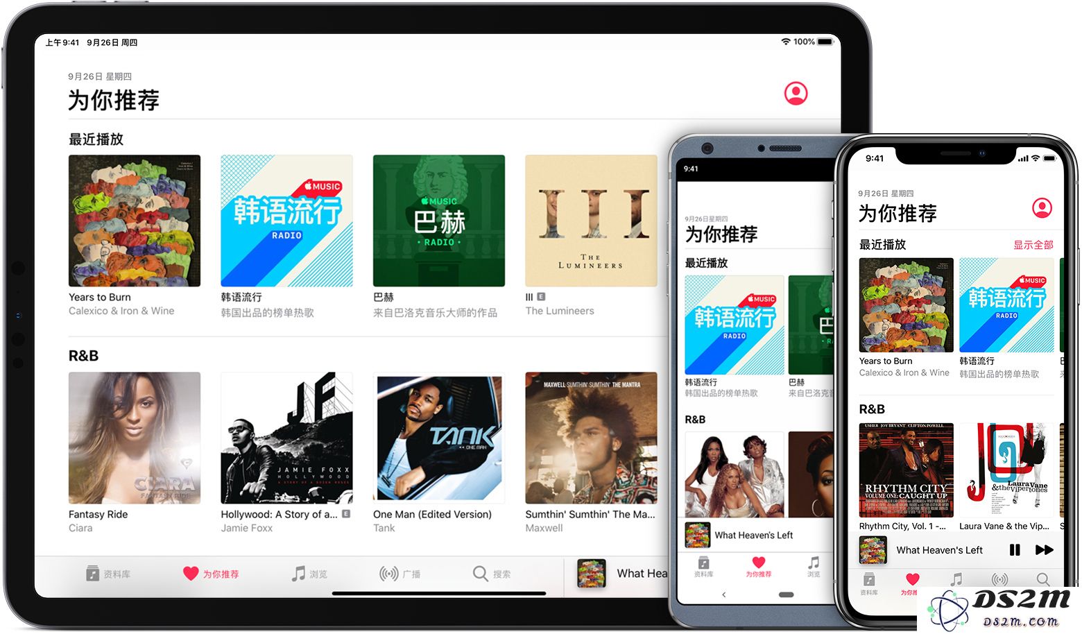 关于Apple Music的音质评价，它真的提供无损音质吗？