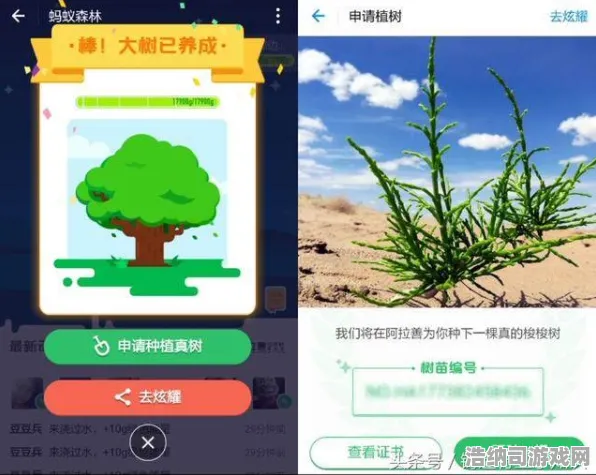 ｜首曝｜套路大揭秘！蚂蚁森林快速养成终极攻略 星推｜2025年04月最新玩法解析｜