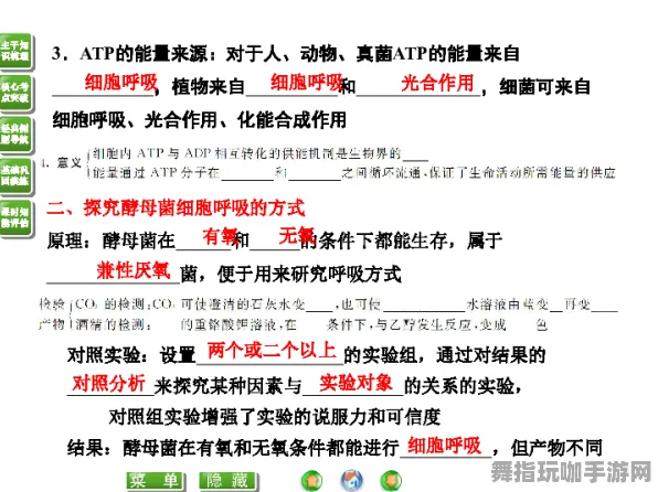 《动物森友会》天赋树解析-2025春季最新优化-谷歌Stadia-文字冒险
