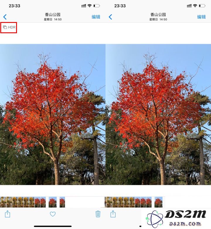 为什么在 iPhone 拍照后相册中会出现两张完全相同的照片？