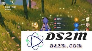 在原神的各个区域中，在哪些地方可以发现数量较多的野猪？