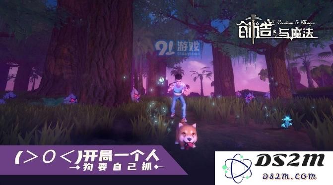 创造与魔法永夜丘陵附魔石位置介绍