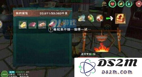 创造与魔法飞龙怎么捕捉