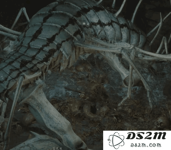 《黑神话悟空》蛰虫始振连战打法指南 蛰虫始振连战招式拆解：高手解密？战斗法则