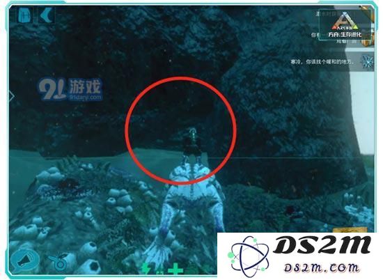 方舟生存进化海底矿洞3号