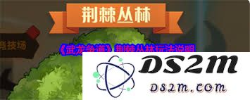 在武龙争道中获得翅膀属性的有效方法与技巧解析