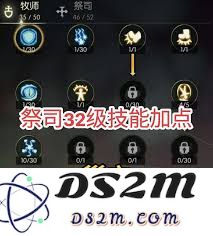 探讨龙之谷世界祭祀角色如何进行有效的技能加点与属性分配