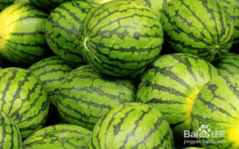 ｜最新资讯｜合成大西瓜无广告版全解析，黑科技玩法揭秘｜2025年04月游戏攻略来袭｜