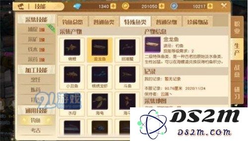 如何在梦想新大陆中获得金龙鱼的详细攻略与技巧分享
