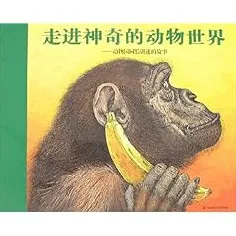 《动物森友会》副本速通-实时更新-每日热修-亚马逊Luna-塔防-角色培养方案