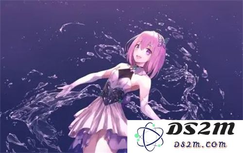 精品人or猪or狗的dna：探索生命密码的奇妙之旅