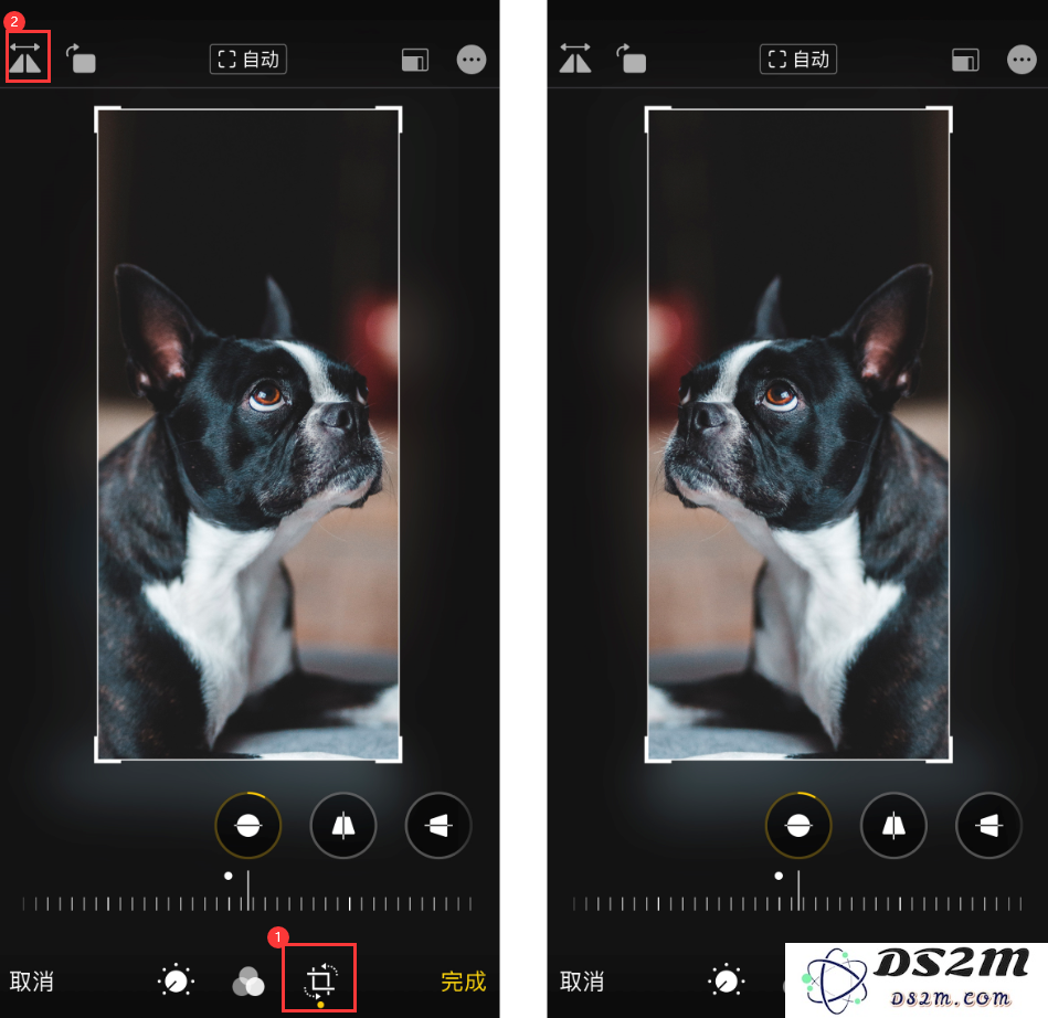 iOS 13 照片编辑新功能：利用内置工具轻松翻转与旋转你的照片