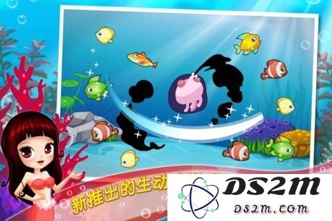 开心水族箱深度解析：全面了解鱼类知识与实用攻略