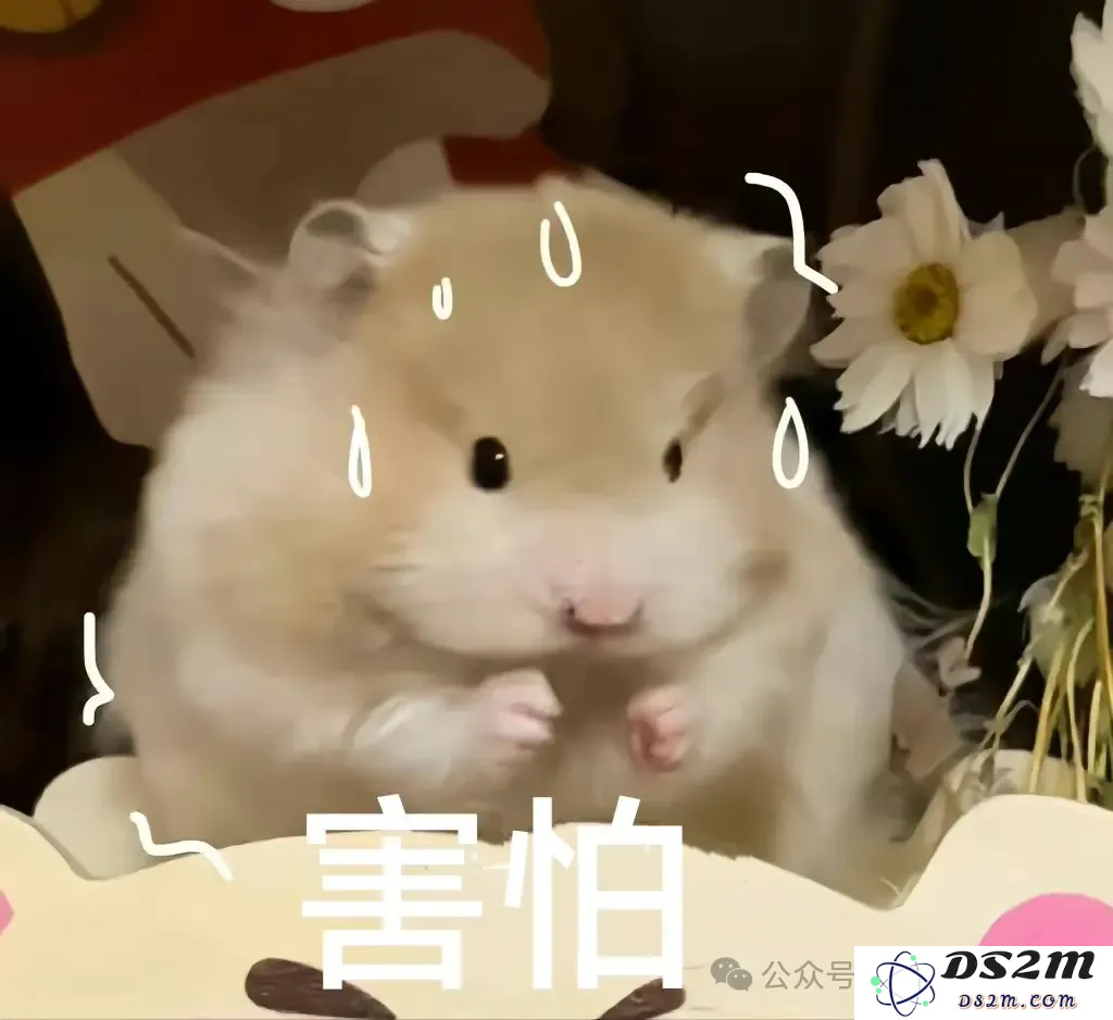 突发！Tiktok美国停服，Perplexity发起收购，小红书也被盯上了