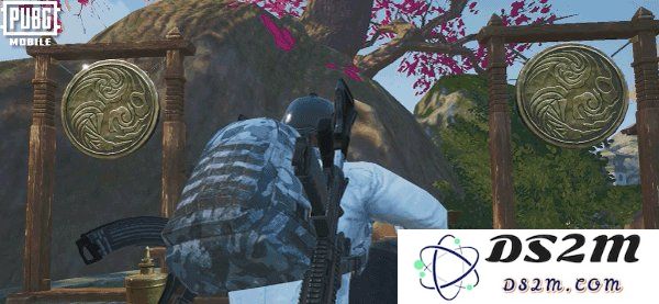 pubg四象修行玩法