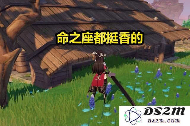 原神中反雷神特训最后一个过