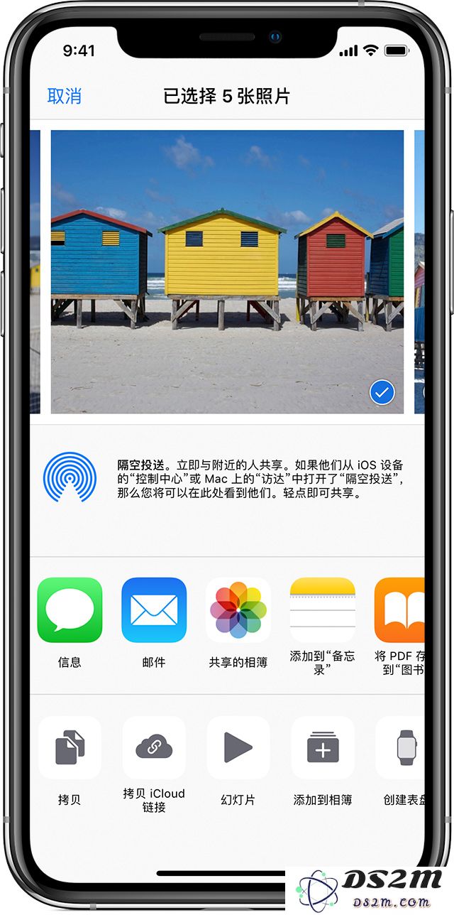 iPhone 如何创建和管理共享相簿？