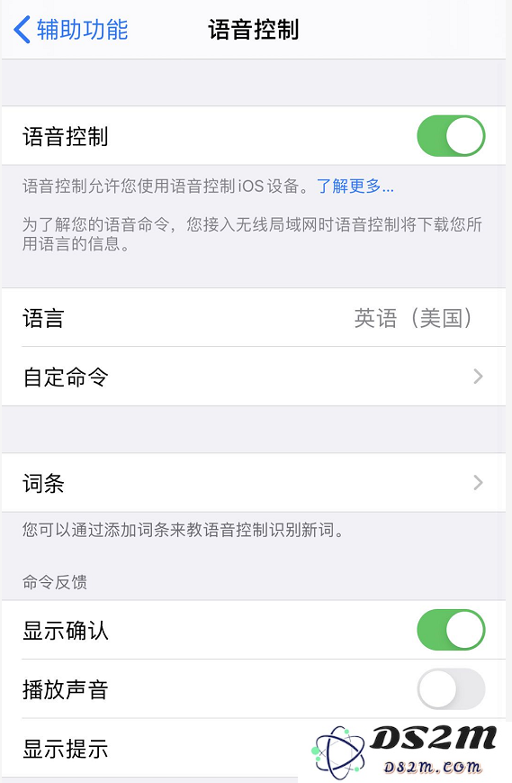 小窍门：如何利用“语音控制”功能轻松解锁你的 iPhone