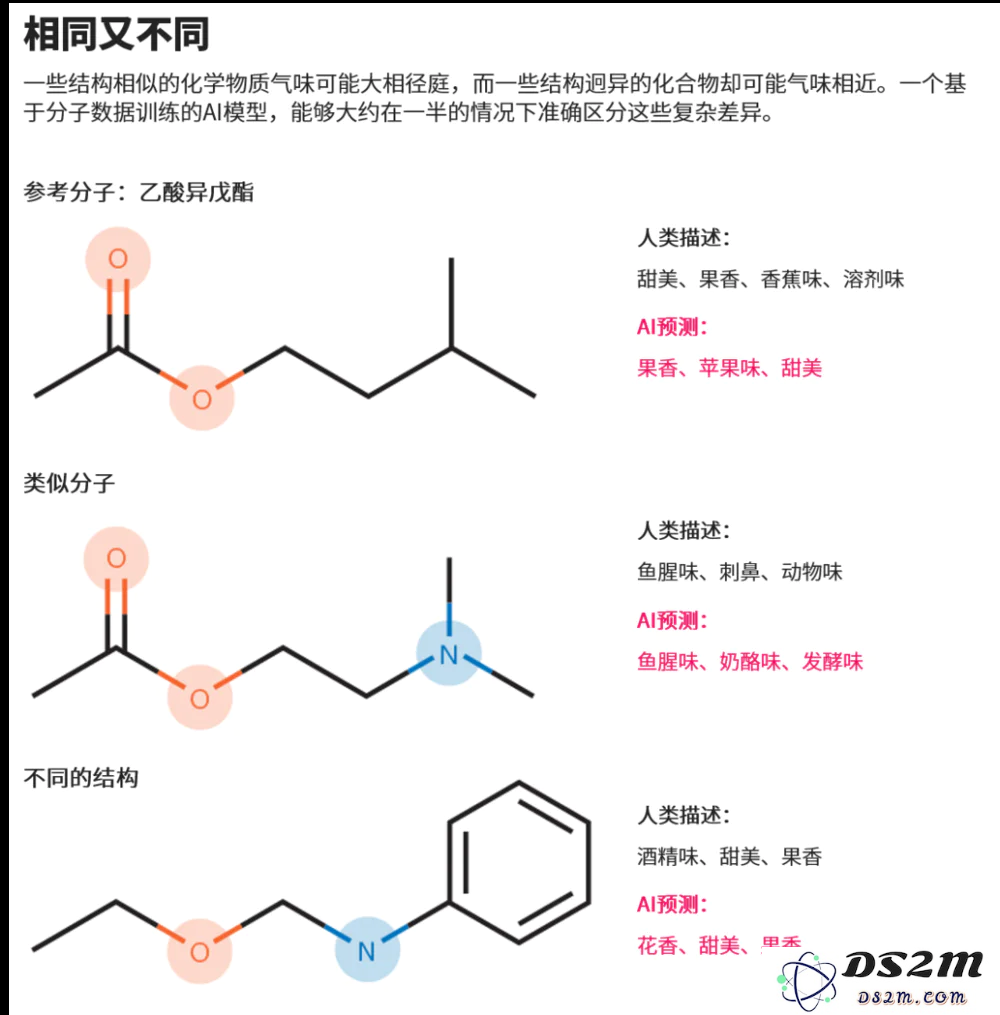 人工智能是否能够助力破解我们感知嗅觉的秘密密码？