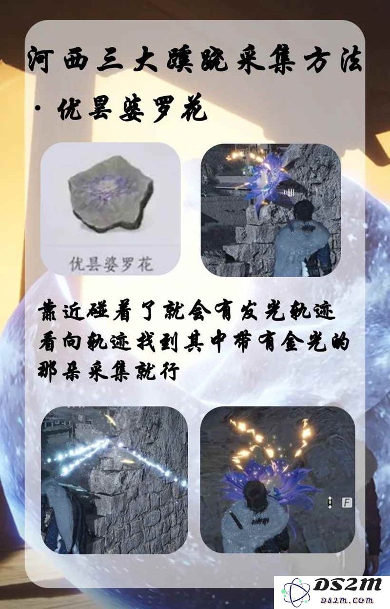 燕云十六声河西蹊跷宝箱 蹊跷宝箱怎么获取技巧：揭秘获取之道 轻松获得你的宝藏