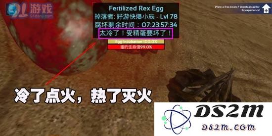 方舟生存进化手机版怎么孵蛋 方舟生存进化正确孵蛋方法解析