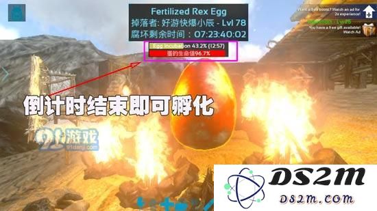 方舟生存进化手机版怎么孵蛋 方舟生存进化正确孵蛋方法解析