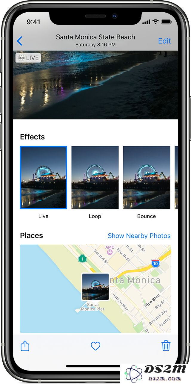iPhone 11 如何为实况照片添加效果并设置为墙纸？
