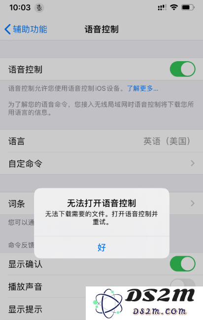 如何解决 iPhone 11 显示“无法打开语音控制”并且下载文件时出现问题的困扰？