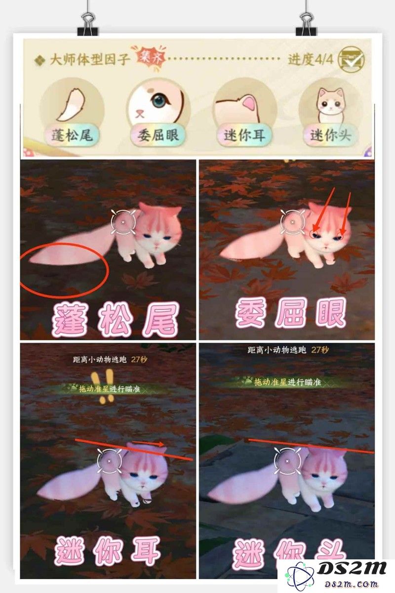 逆水寒怎么获得大师徽章 猫狗篇详细版攻略：轻松掌握猫狗玩法，秒变游戏小能手！
