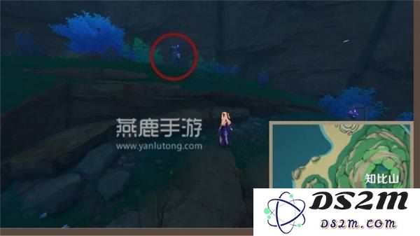 原神知比山石碑顺序